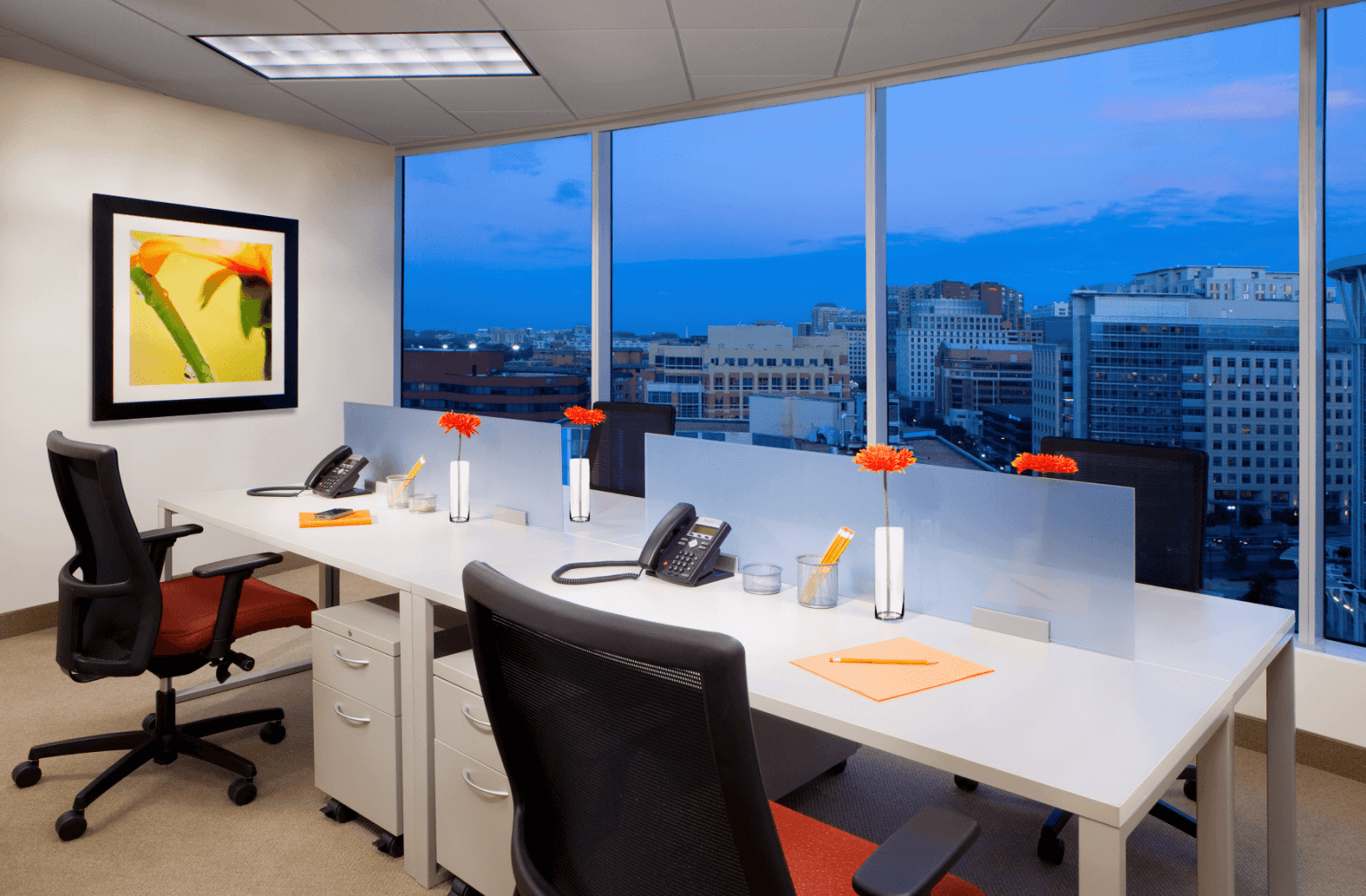 How to “Green” Your Office Space