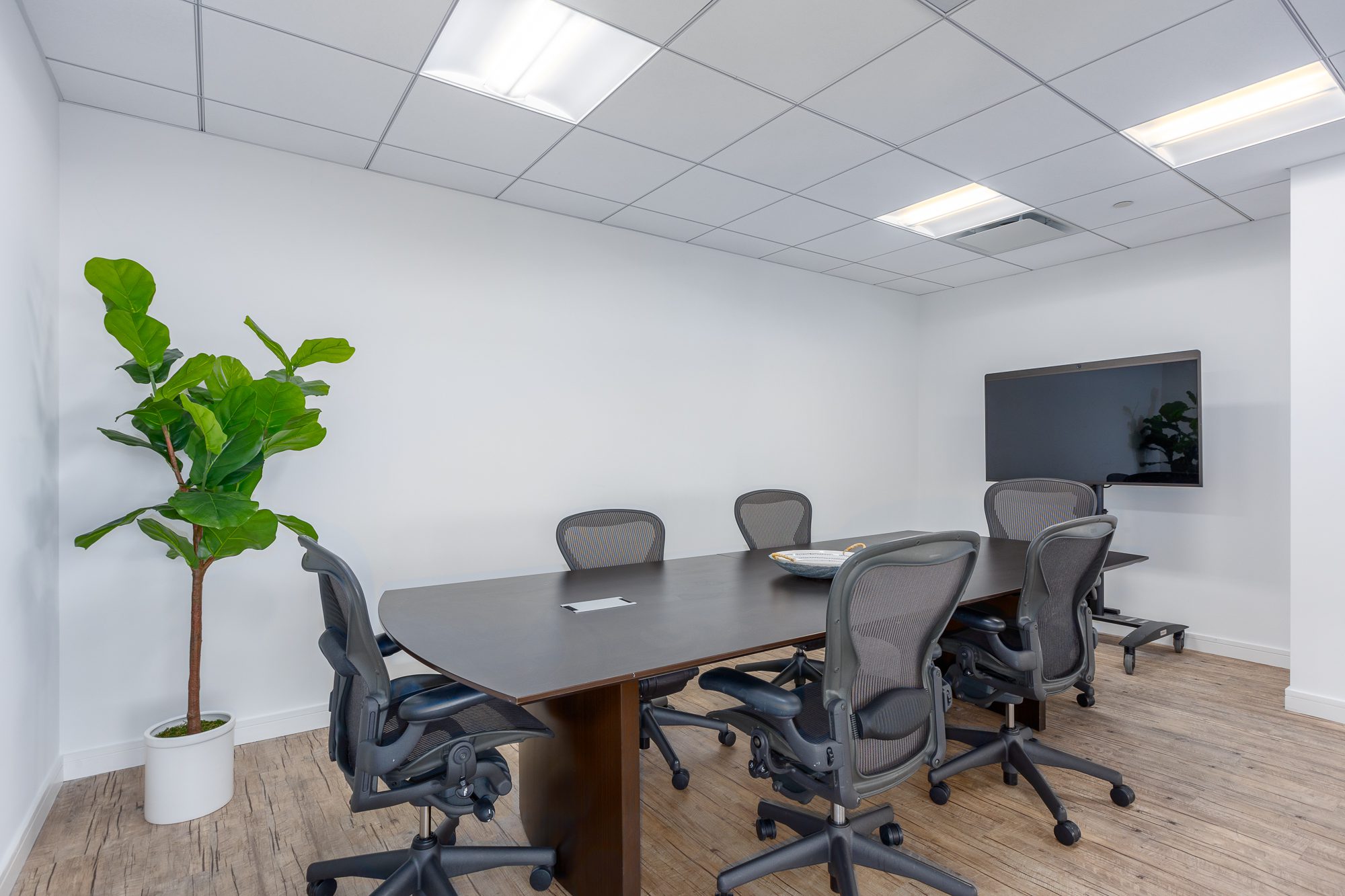Which Plants Work Best in an Office?